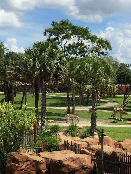 13719510_298471107168372_2636295524388677963_o